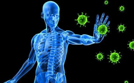 Mengapa Imun Anak Meningkat dengan Menu Bergizi Gratis yang Tepat?