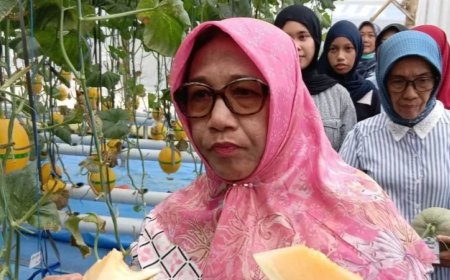 Pemkab Blora Dorong Melon Hidroponik Lokal Masuk Rantai Pasok MBG