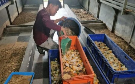 Ketika Limbah Makan Bergizi Gratis Membuka Jalan Ekonomi Sirkular dan Kredit Karbon