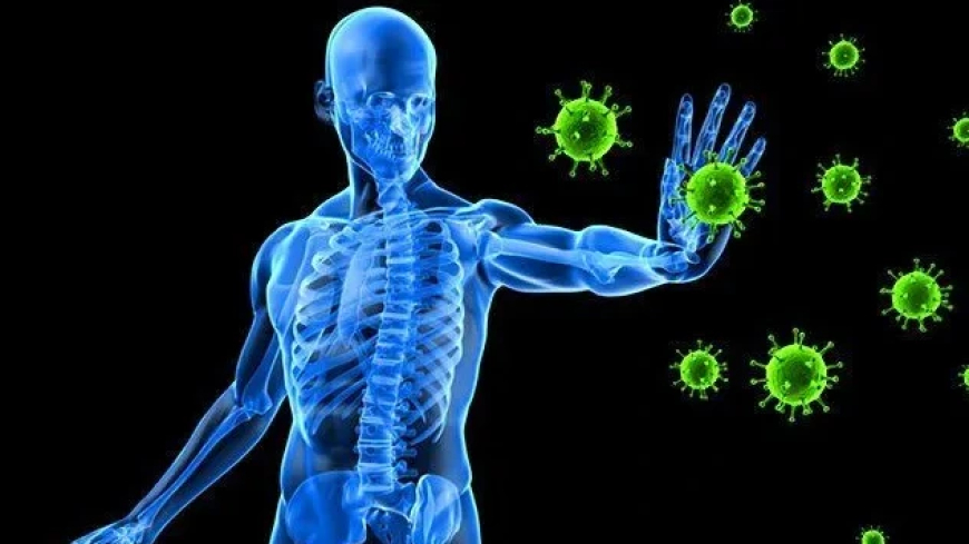 Mengapa Imun Anak Meningkat dengan Menu Bergizi Gratis yang Tepat?