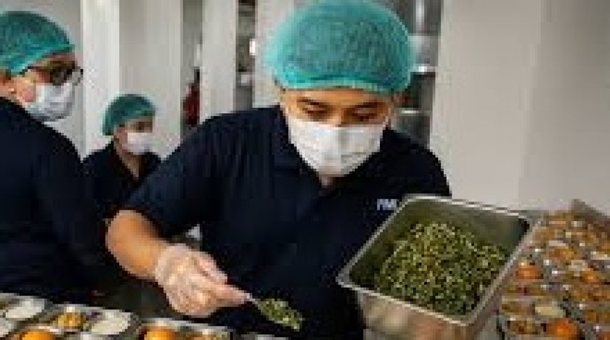 Gizi Seimbang dalam Program Makan Bergizi Gratis: Panduan Praktis untuk Orang Tua dan Sekolah