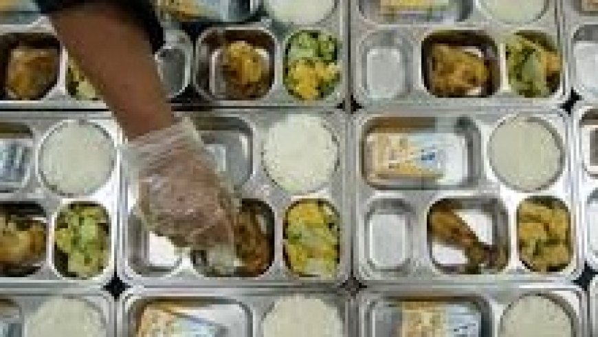 Program Nutrisi Gratis dan Dampak Jangka Panjangnya bagi Produktivitas Nasional