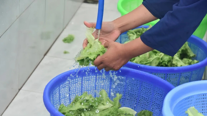 Pemuda Lumajang Ubah Limbah MBG Menjadi Inovasi Ekonomi Hijau Bernilai Tinggi