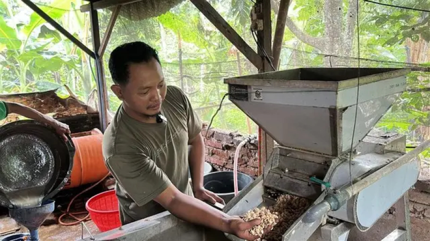 Dari Ragi Kedelai ke Jalan Kesejahteraan: Tempe yang Menghidupkan Desa
