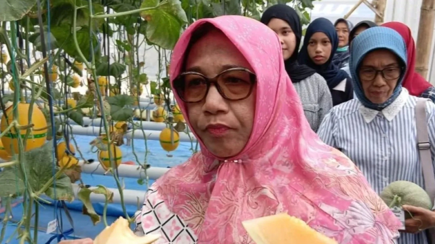 Pemkab Blora Dorong Melon Hidroponik Lokal Masuk Rantai Pasok MBG