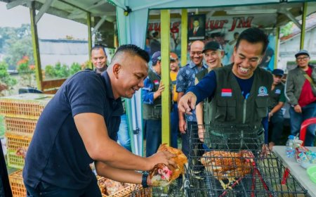 Pemkot Bogor Dorong Peternakan Ayam Petelur Berbasis LPM untuk Suplai MBG