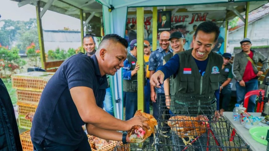 Pemkot Bogor Dorong Peternakan Ayam Petelur Berbasis LPM untuk Suplai MBG